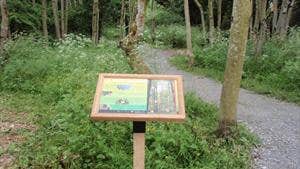 Inch Lough and Levels Spa