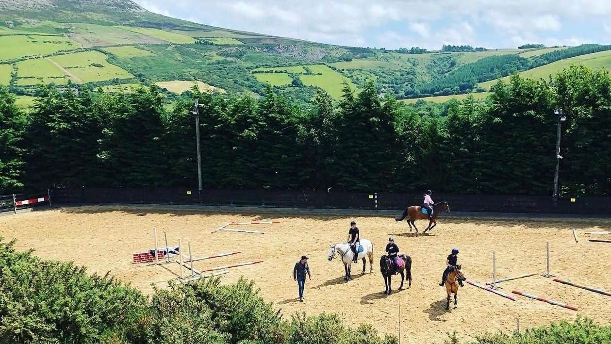 People on horses in a training field surrounded by trees