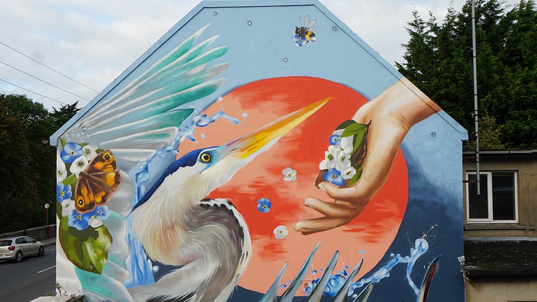 Waterford Walls Festival 2025