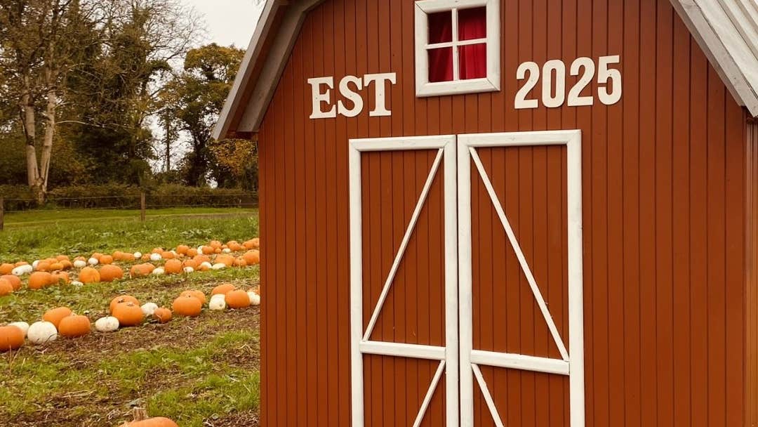 Tonagh Pumpkin Hollow 2026