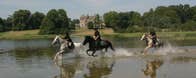 Horses galloping at Castle Leslie Equestrian Centre Glaslough County Monaghan