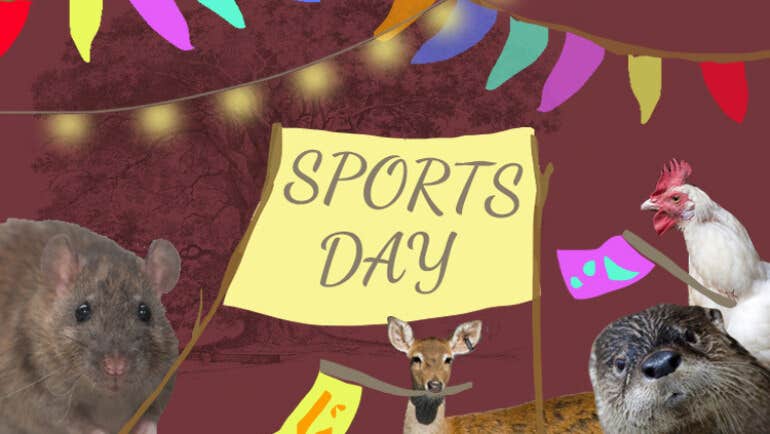 On Your Marks! a workshop at The Ark, a poster with some small animals holding up a poster.