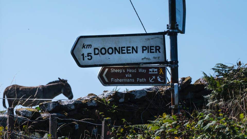 Signposts with a stone wall with a horse