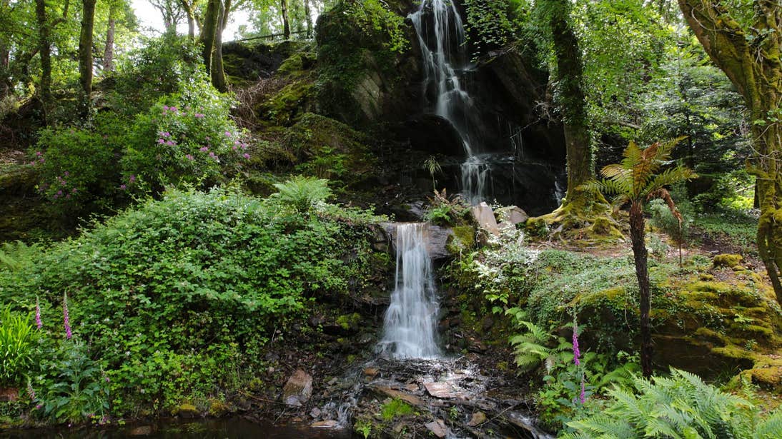 A waterfall and beautiful greenery in Kells Bay Gardens, Kerry