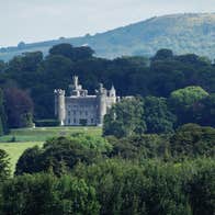 Castle in the background of trees