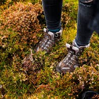 Brown boots in moss on a hiking trail