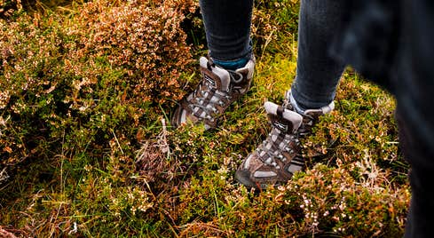 Brown boots in moss on a hiking trail