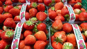 Green’s Berry Farm