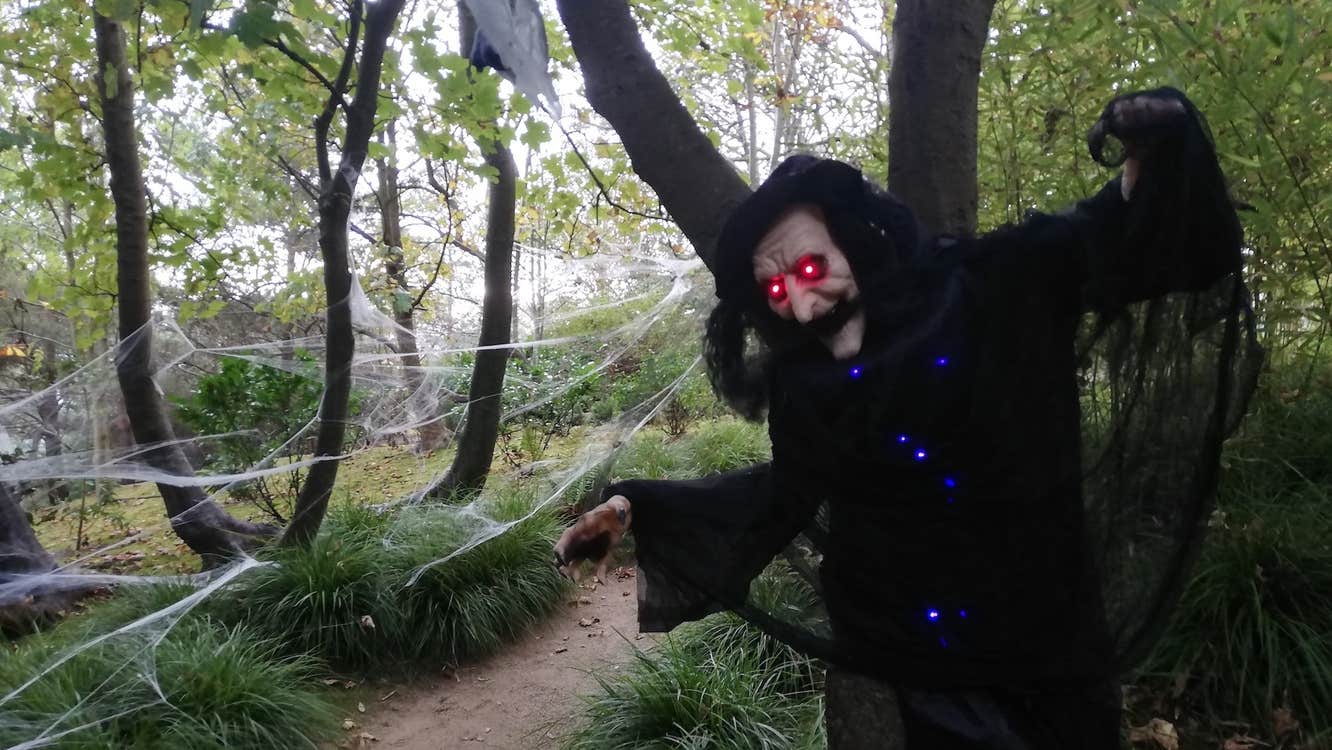 In a wooded area, a black hooded figure with spooky old face and red eyes is hanging from a tree.