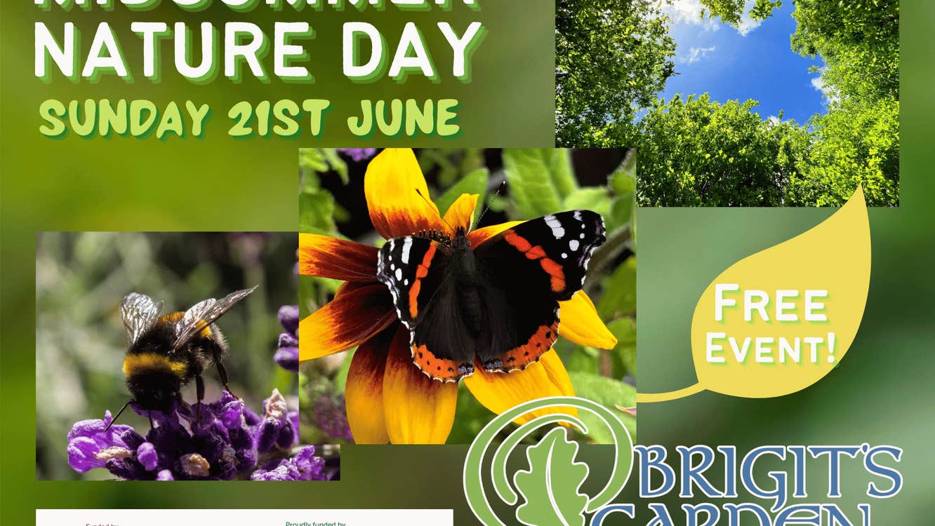 Midsummer Nature Day, Free event, Biodiversity day, family day, biodiversity walks