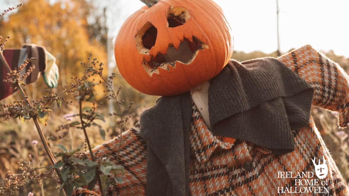 Pumpkin Scarecrow at Skerries Mills