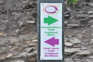 Goatenbridge - Knockballiniry