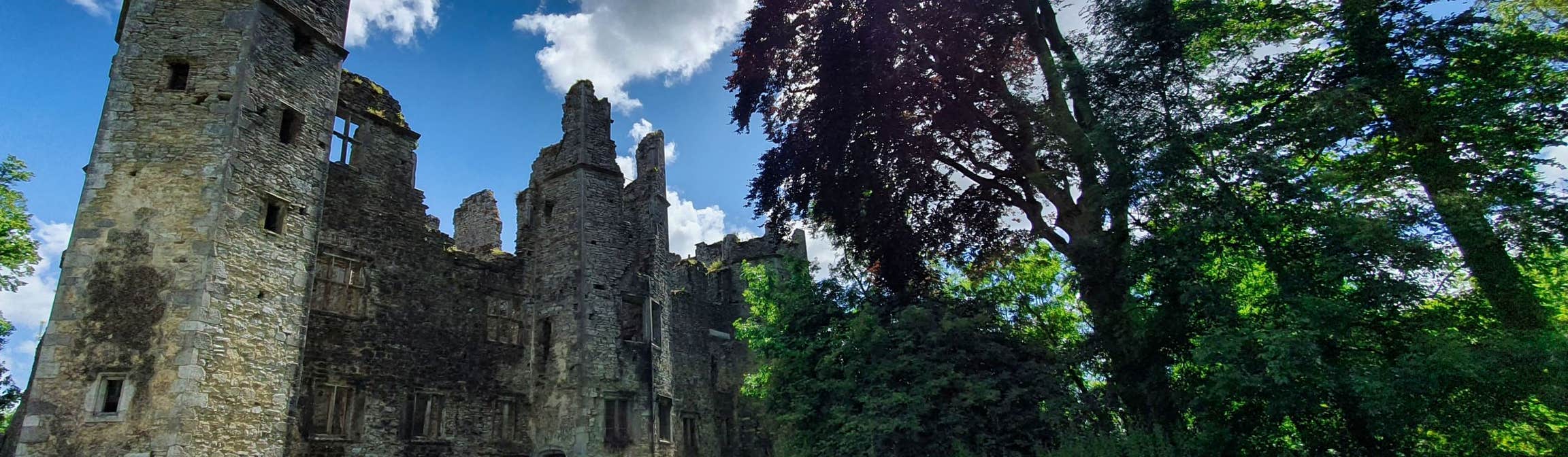Image of castle ruins in Mallow in County Cork
