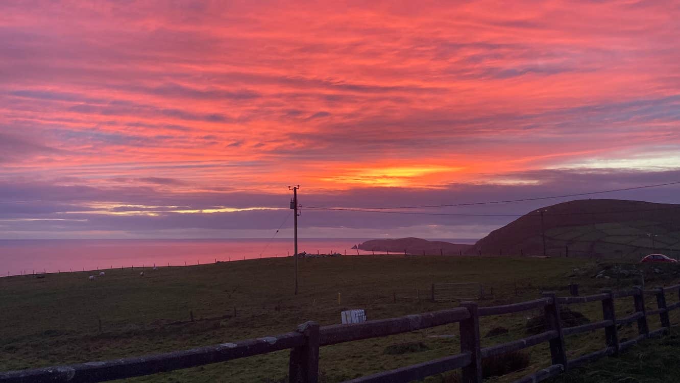Green field and ocean behind a fence with a pink and orange sunset in the sky