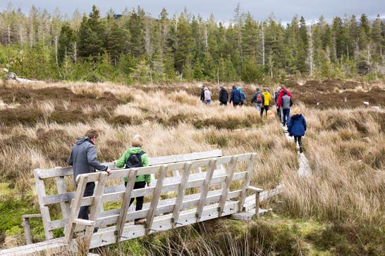 People walking through Wild Nephin National Park in County Mayo