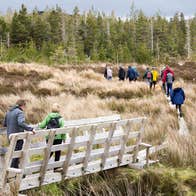 People walking through Wild Nephin National Park in County Mayo