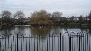 Blessington Street Basin (Dublin's Secret Garden)