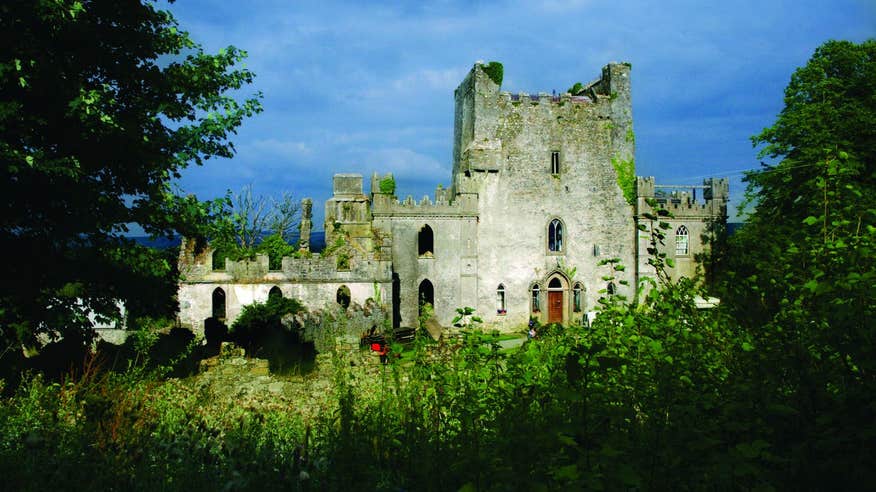 Exterior facade of Leap Castle in Offaly with a blue sky and dark green bushes and trees surrounding it.