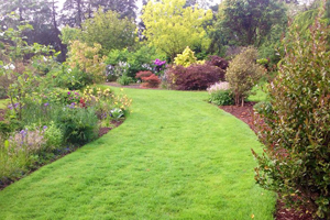 Coolaught Gardens, Enniscorthy, Wexford