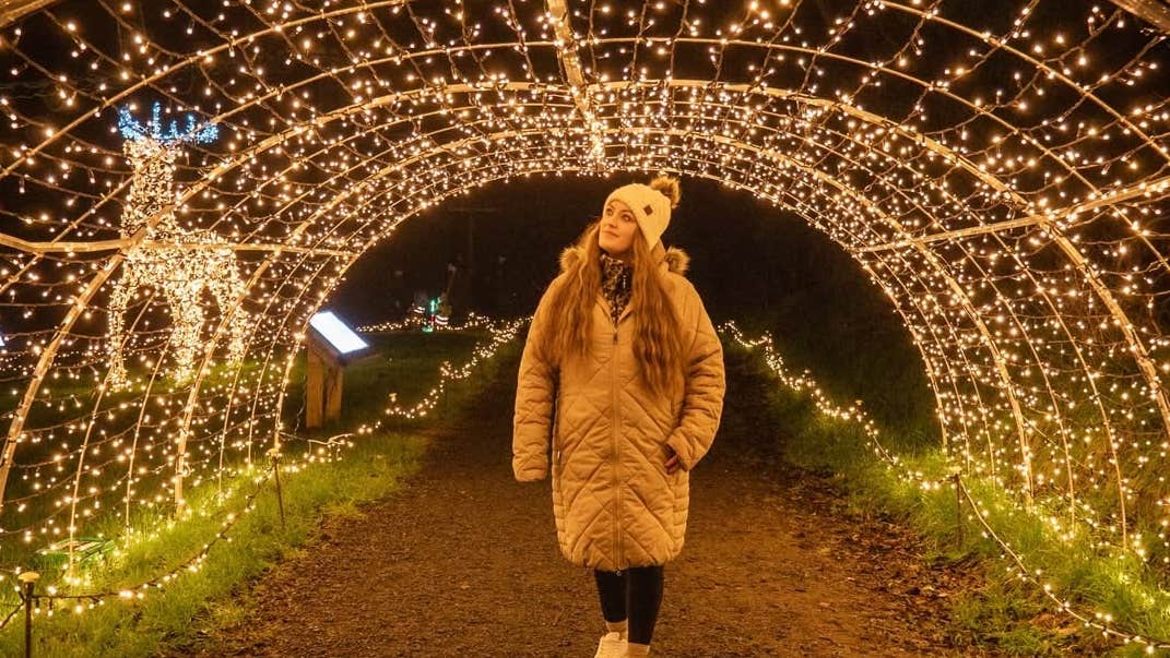ADVENTURE LIGHTS - SKYPARK CARLINGFORD