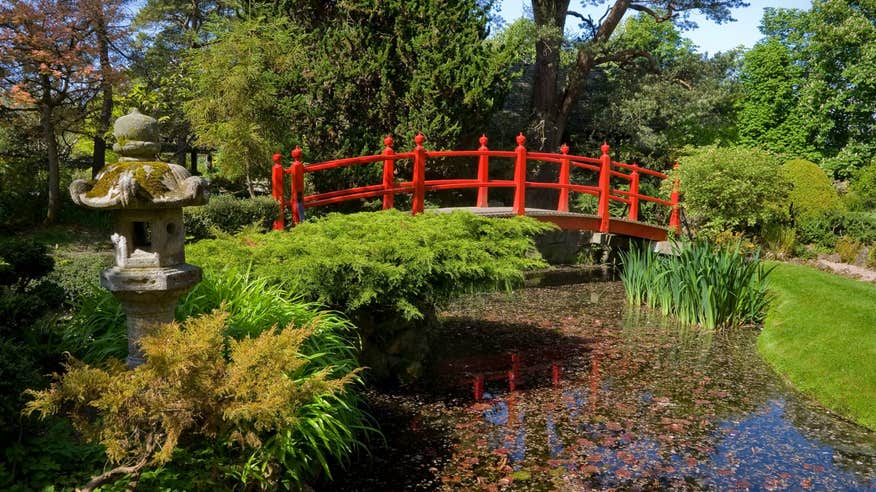 A red bridge across a pond in a beautiful garden at the Irish National Stud and Gardens in County Kildare.