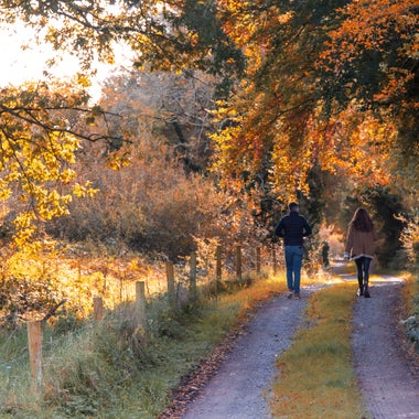 dublin walking tour route