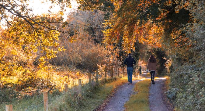 Couple walking on road with grass