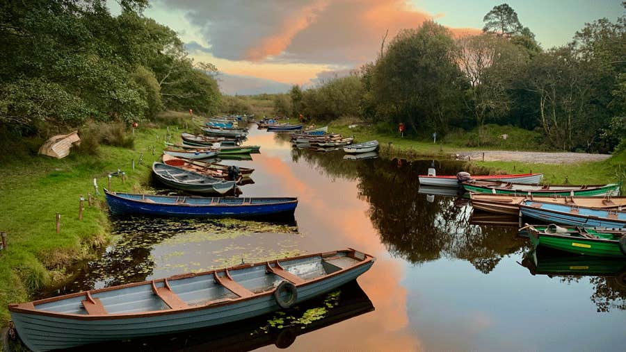Rowing boats on a river Killarney Guided Tours