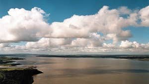 Shannon Estuary