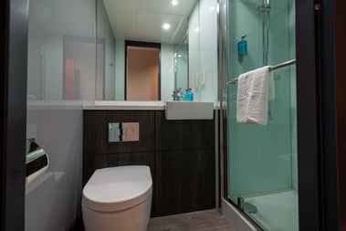 Bathroom view with toilet and shower