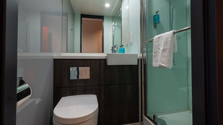 Bathroom view with toilet and shower