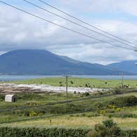 A mountain view along the Tralee to Fenit Greenway