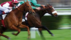 Bellewstown Racecourse
