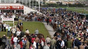Listowel Racecourse