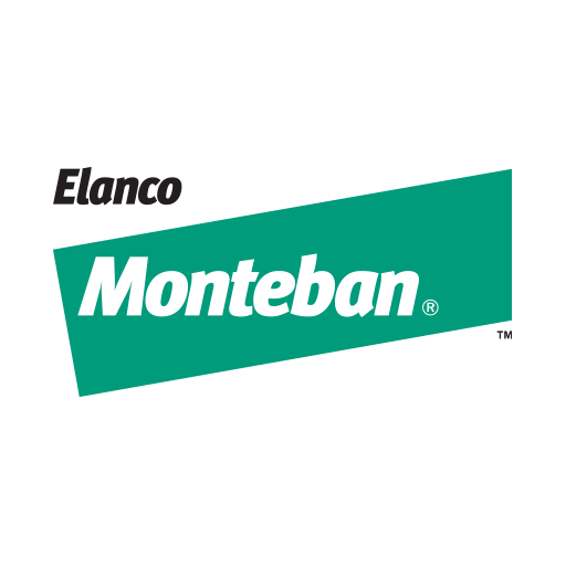 Monteban