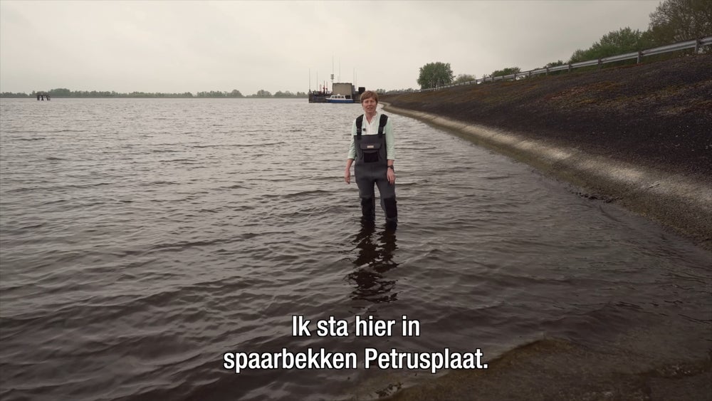 Rona Vink in spaarbekken Petrusplaat.