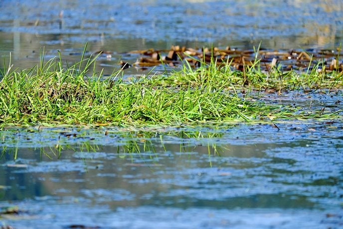 Foto Waterkring West