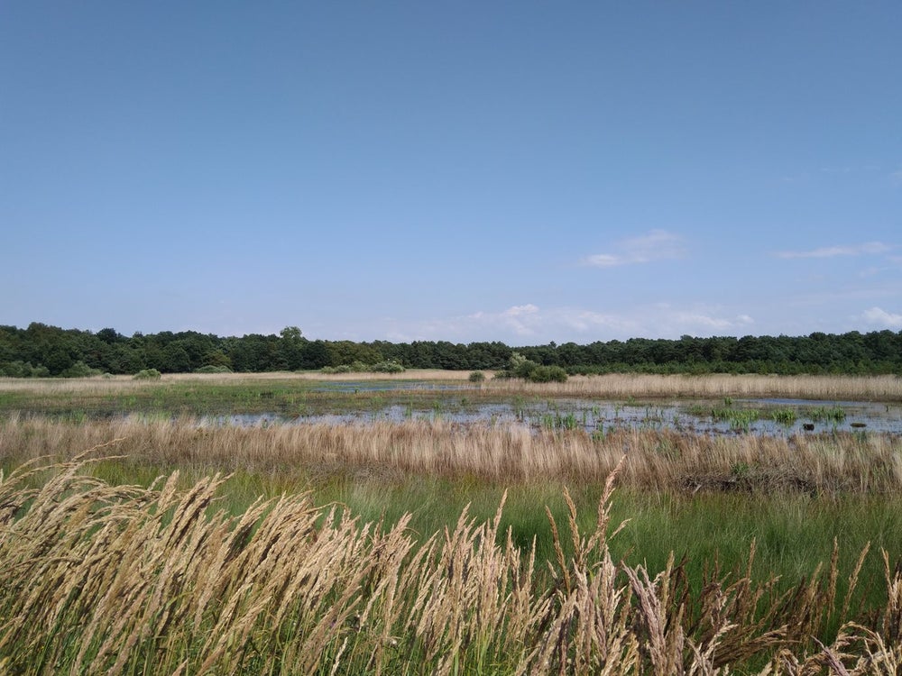 Brabants grondwatervoorraad