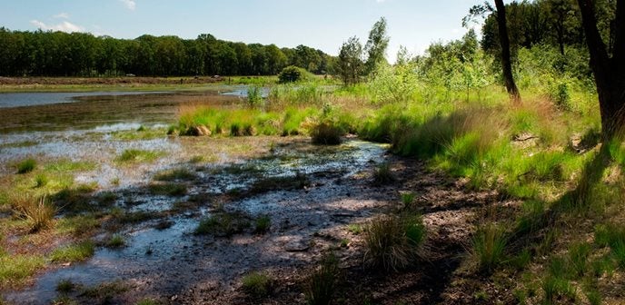 Wandelroutes in de Brabantse Wal