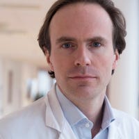 Prof.dr. van Santvoort