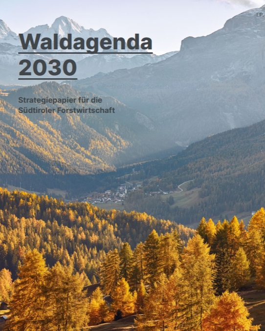 Ajënda forestala 2030