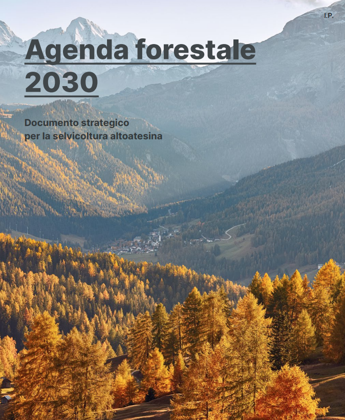 Agenda forestale 2030