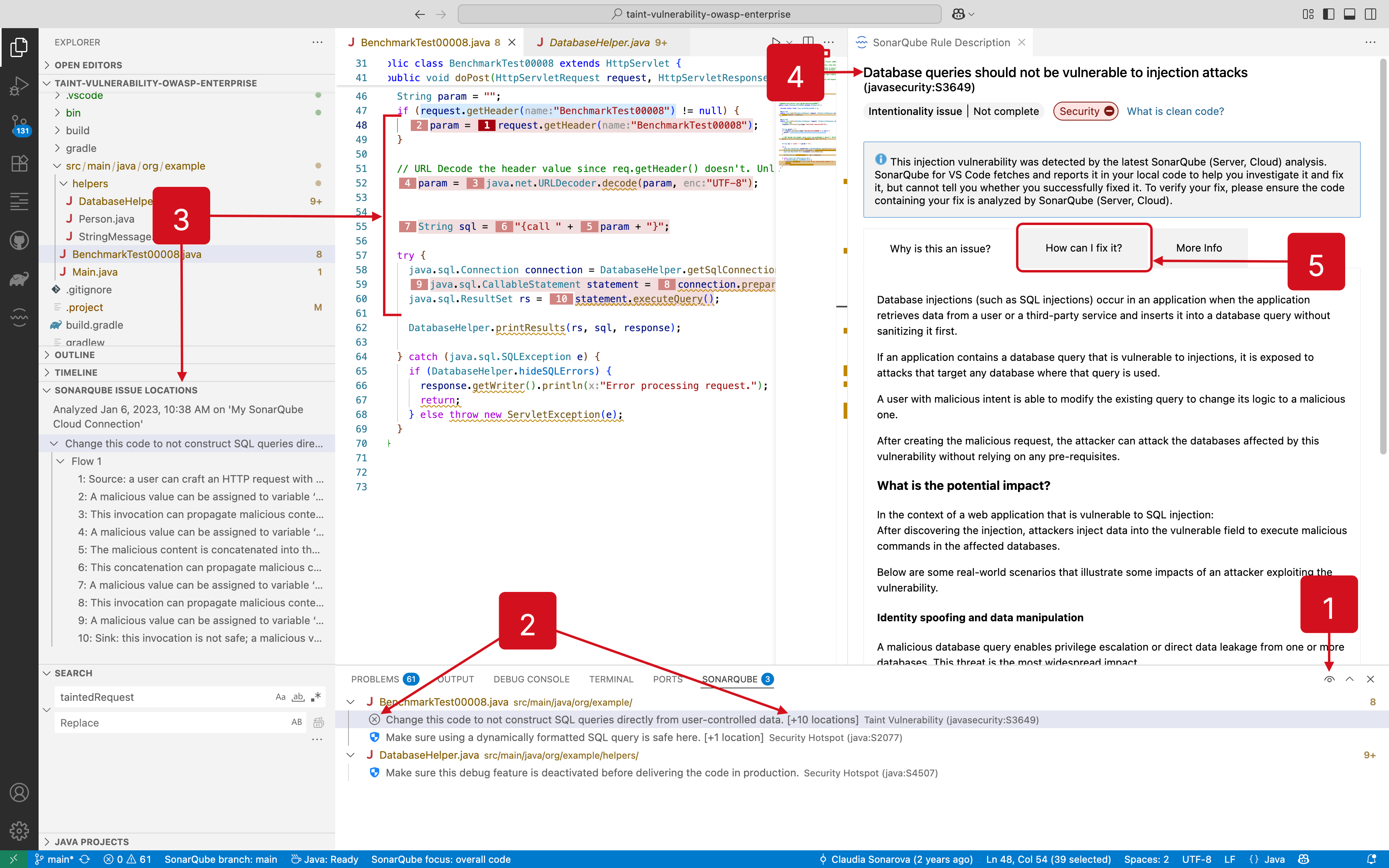 Injection vulnerabilities (also known as taint vulnerabilities) are also shown in the SONARQUBE view.