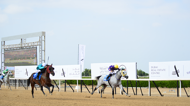 DREC Sponsors Sharjah Horse Race