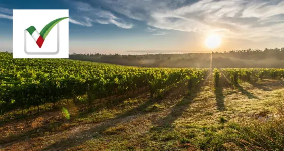 Allgemeine Landwirtschaftszählung