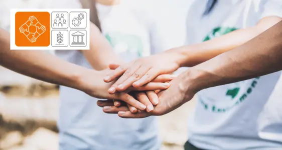 Dauerzählung der Non-Profit-Organisationen