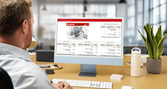 Browser statistico