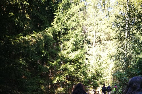 A passeggio per sentieri A passeggio per sentieri