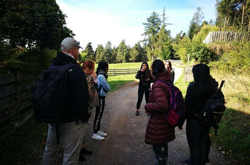 Riunione di gruppo Riunione di gruppo