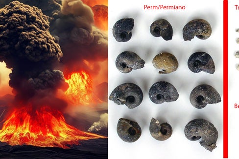 Eruziun vulcanica y corëc (Foto: Museum Ladin)